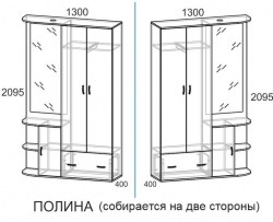 polinashem